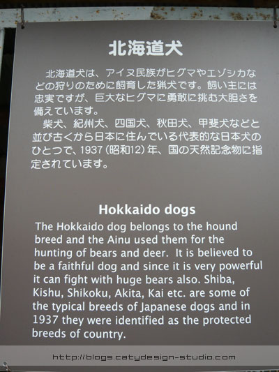 Hokkaido dog
