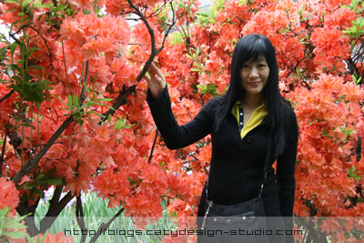 Otokoyama Sake Brewery Museum